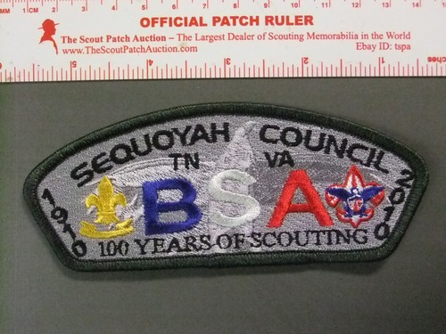 Boy scout national jamboree - boy,