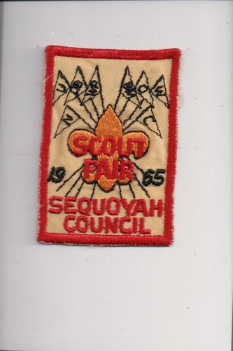 1965 sequoyah council scout - 1965,
